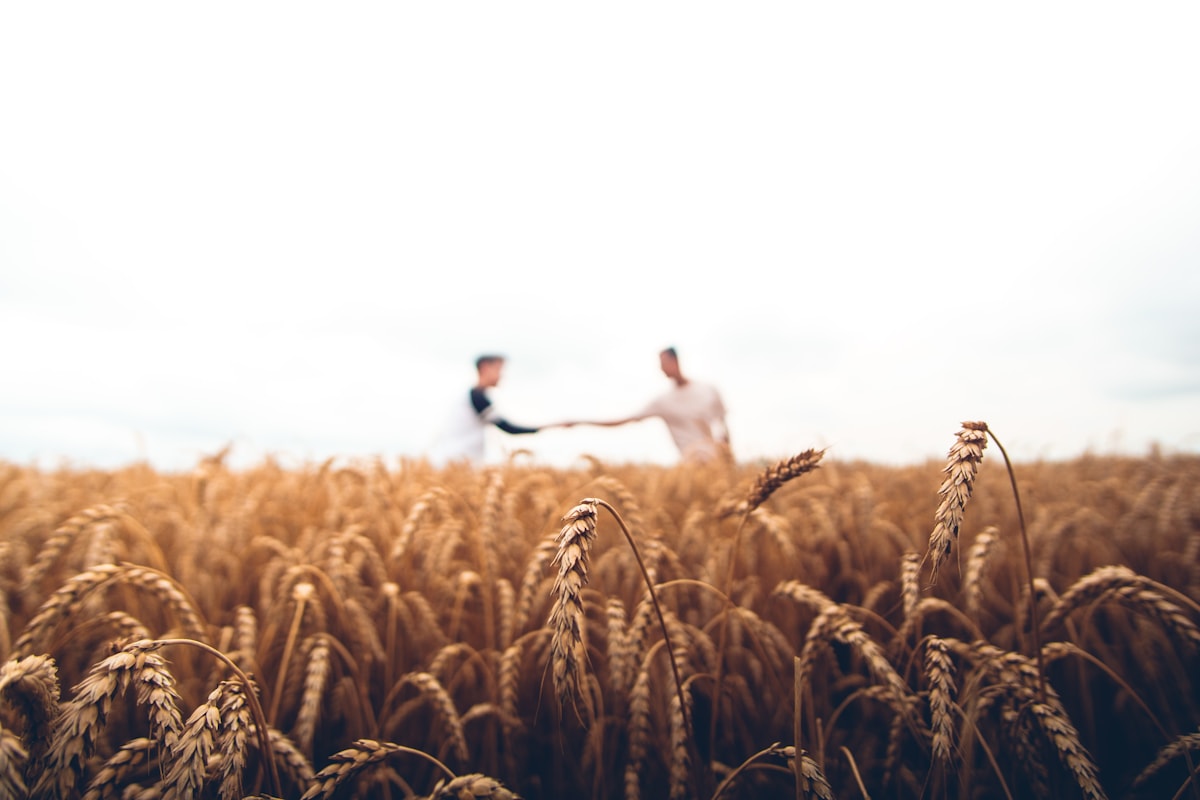 Agricultural field