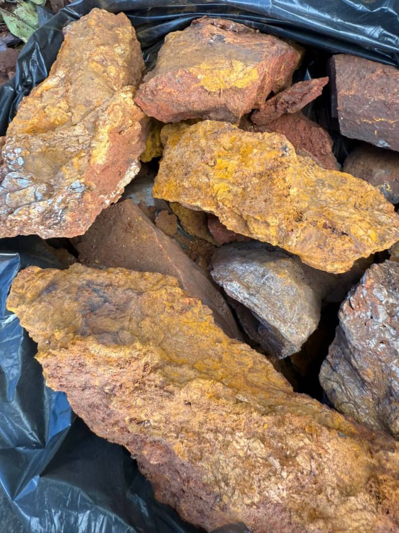Mineral-bearing rock samples collected for technical assessment