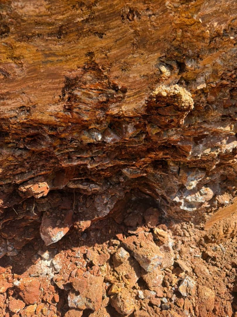 Lonely Mine Claims Geology album cover