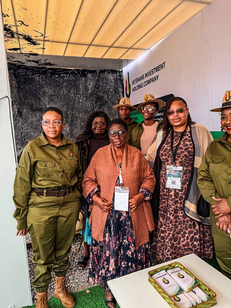 VIHC at ZITF 2026 album cover